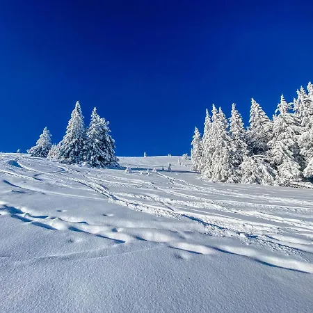 Ferienwohnungen Am Skilift Herrischried Zewnętrze zdjęcie