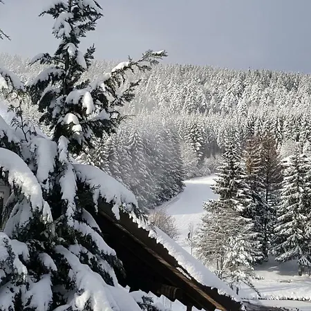 Ferienwohnungen Am Skilift Herrischried Zewnętrze zdjęcie