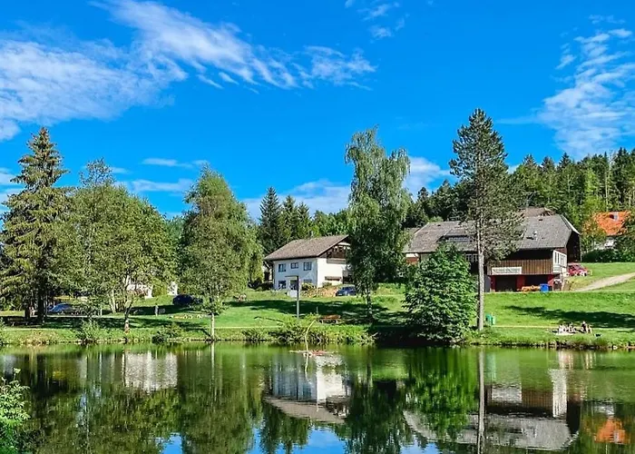 Ferienwohnungen Am Skilift