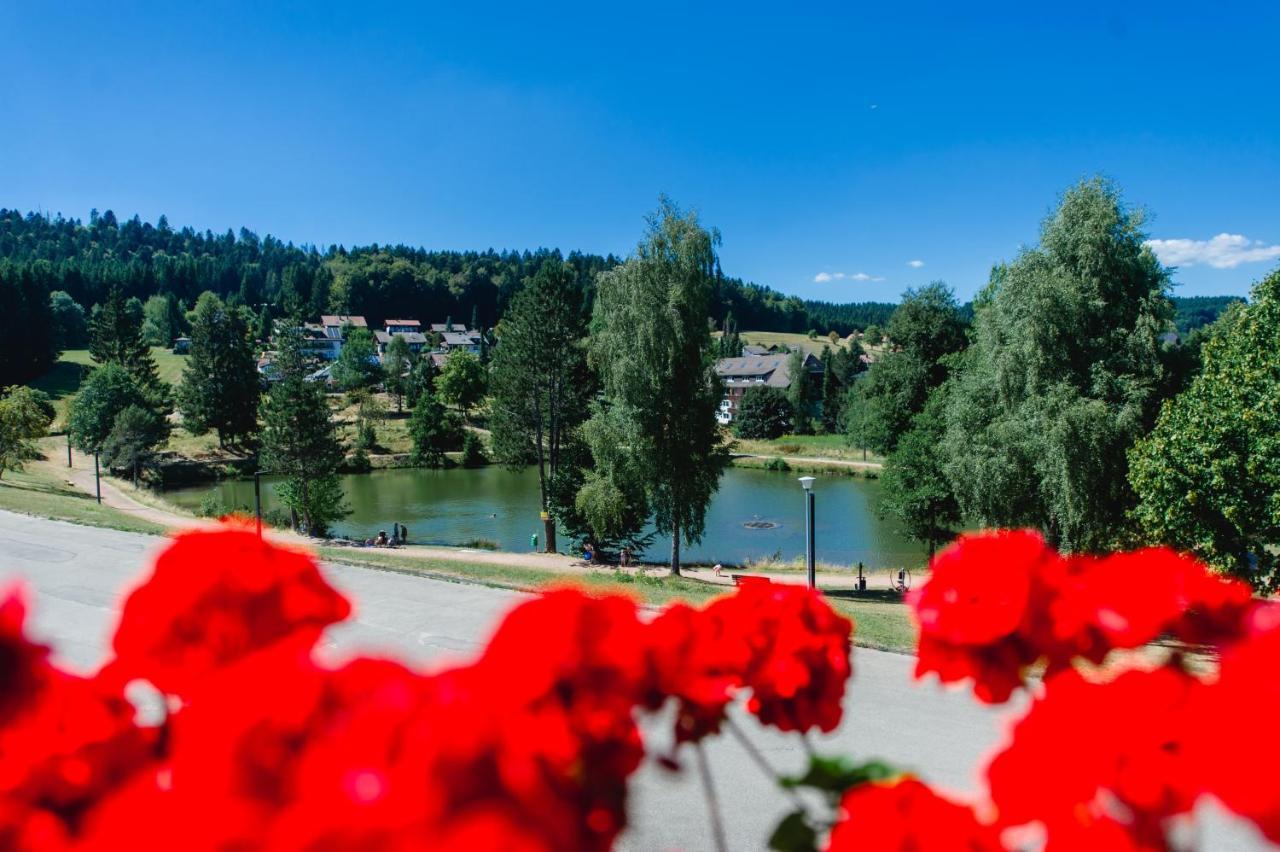 Apartment Am Skilift Herrischried