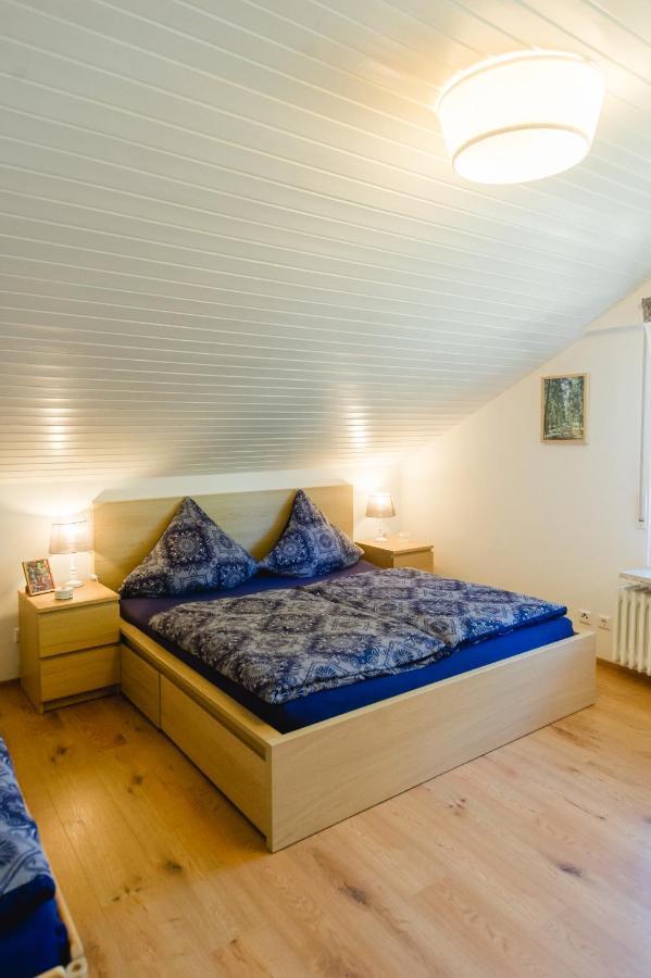 Am Skilift Apartment