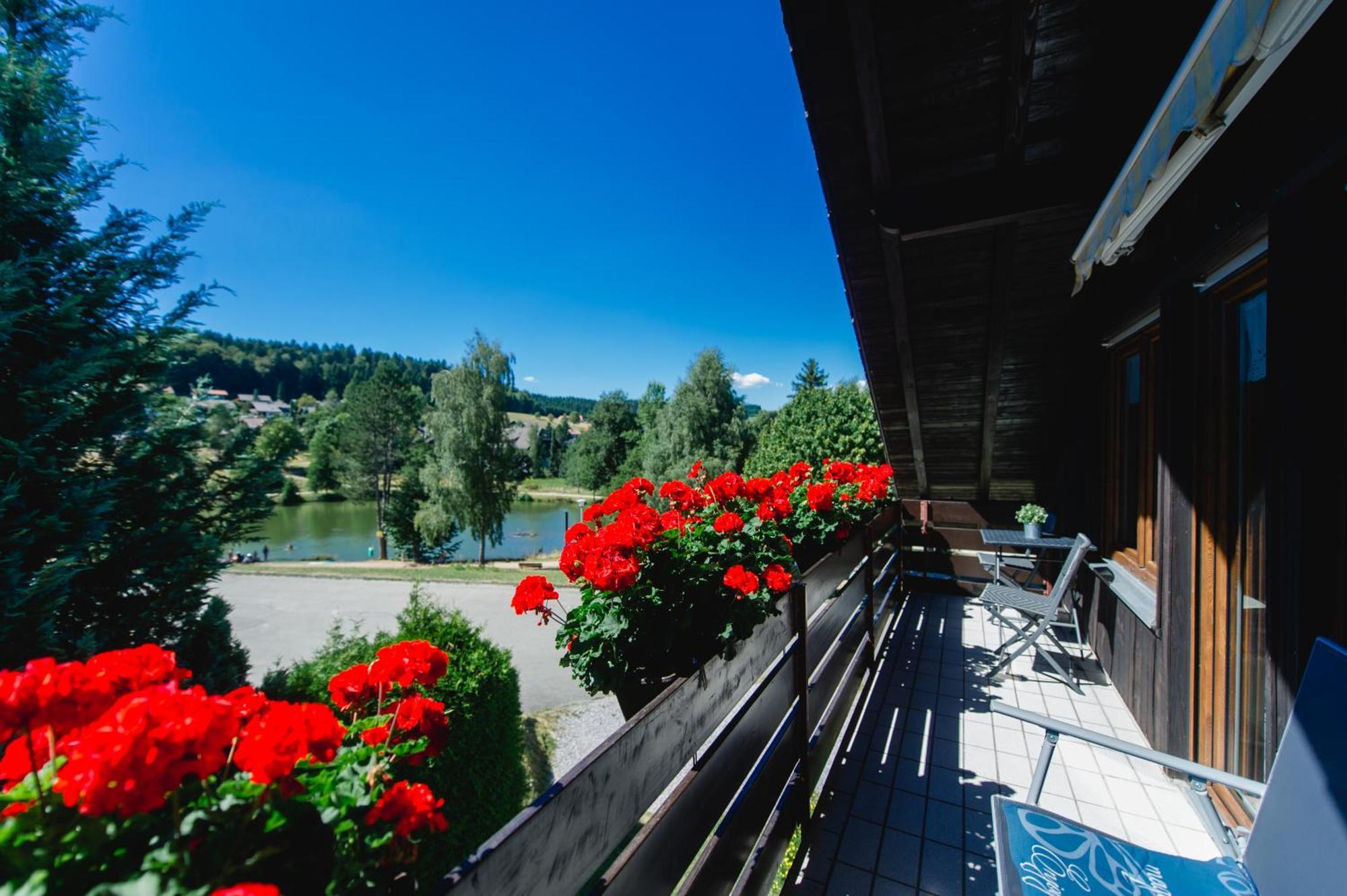 Am Skilift Apartment Herrischried