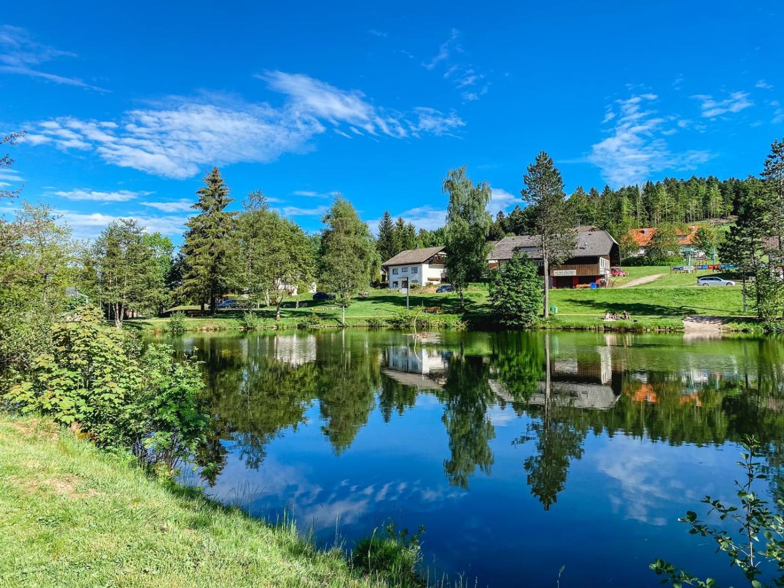 Am Skilift Apartment Herrischried