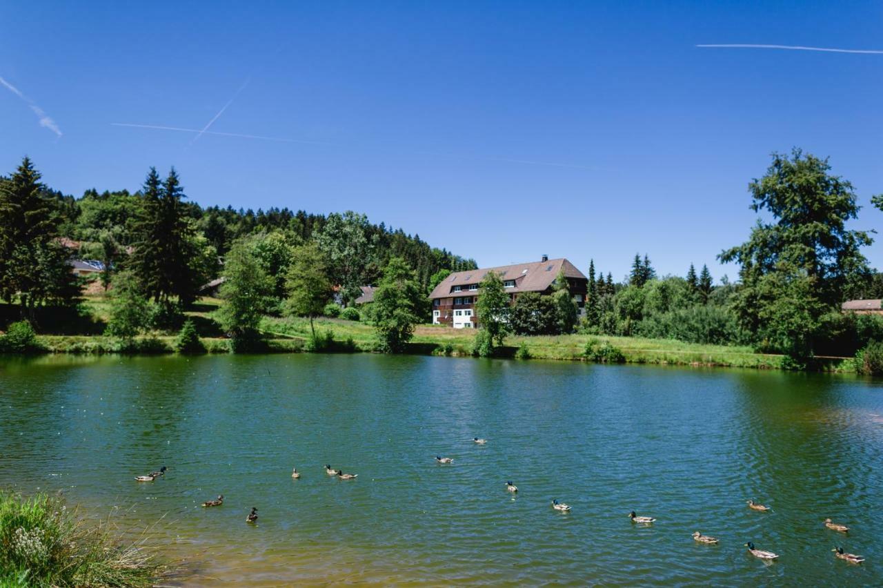 Apartment Am Skilift Herrischried
