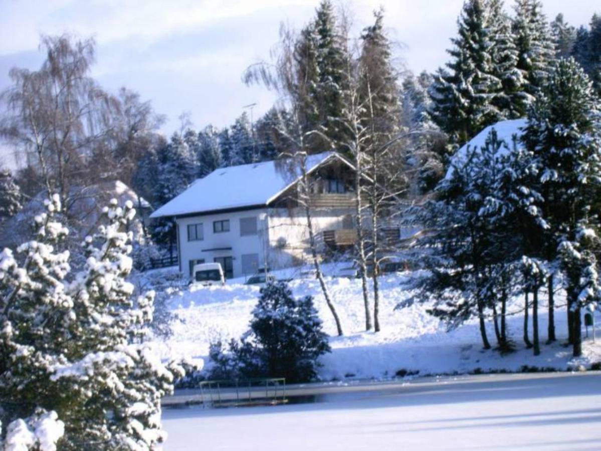 Am Skilift Apartment