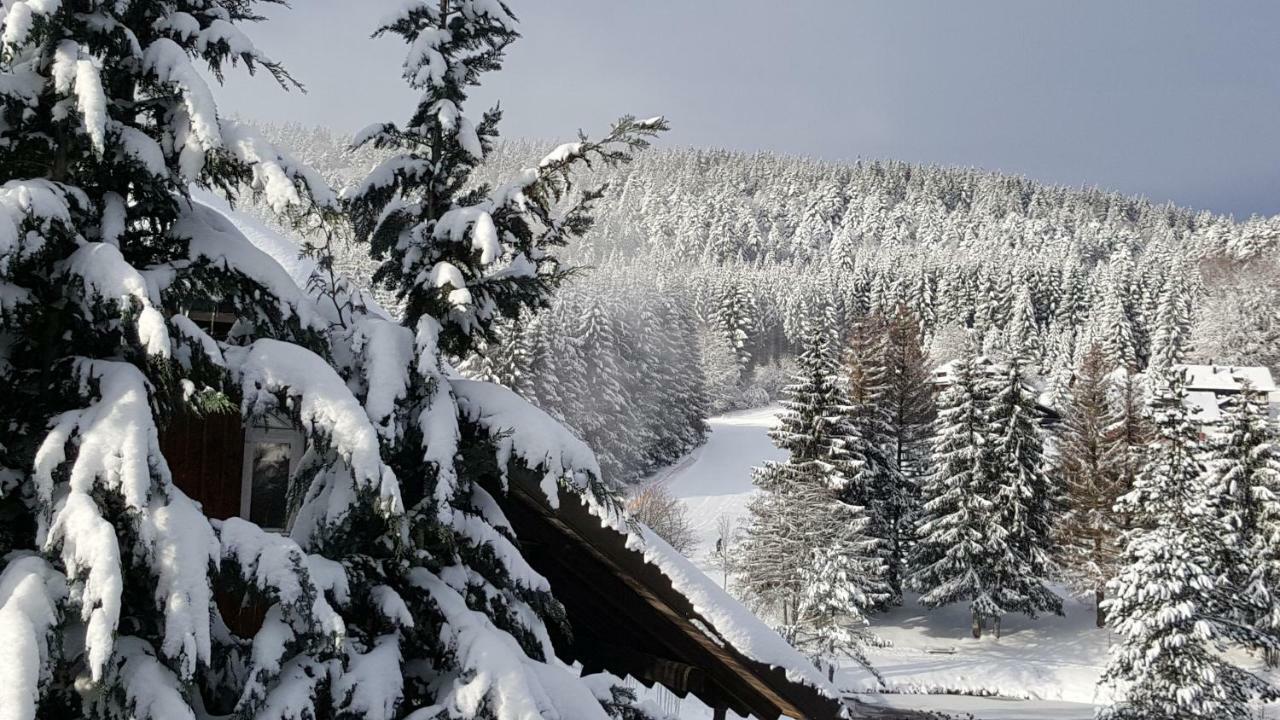 Apartment Am Skilift Herrischried